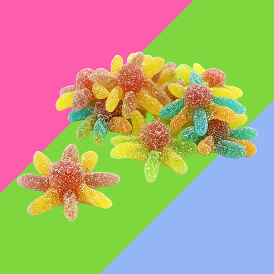 Kingsway Sour Octopus Bag 2kg